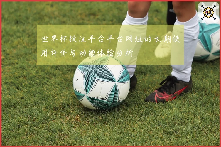 世界杯投注平台平台网址的长期使用评价与功能体验分析