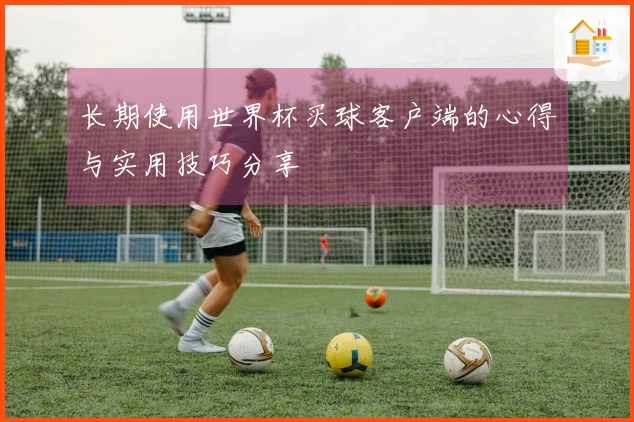 长期使用世界杯买球客户端的心得与实用技巧分享