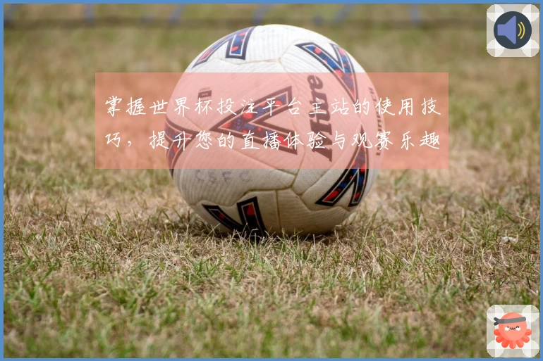掌握世界杯投注平台主站的使用技巧，提升您的直播体验与观赛乐趣