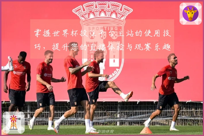 掌握世界杯投注平台主站的使用技巧,提升您的直播体验与观赛乐趣