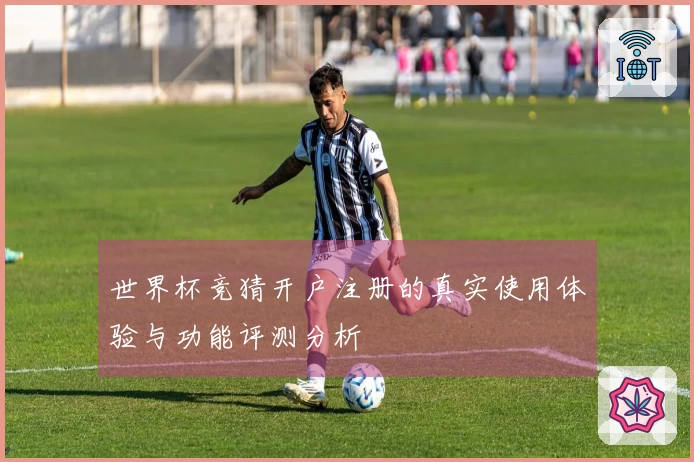 世界杯竞猜开户注册的真实使用体验与功能评测分析