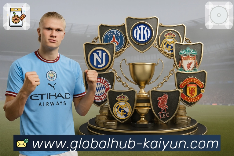 <strong>开云</strong>平台优势与服务能力